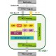 W3150A+ Block Diagram